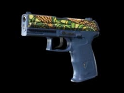P2000 | Corticera