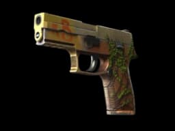P250 | Inferno (Field-Tested)