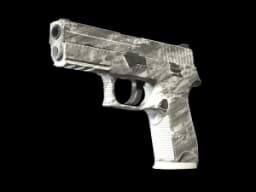 P250 | Sleet (Factory New)