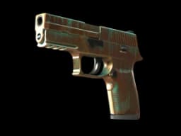 P250 | Verdigris