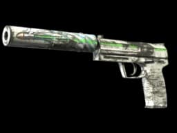 Souvenir USP-S | Road Rash (Well-Worn)