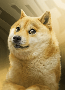 Доге